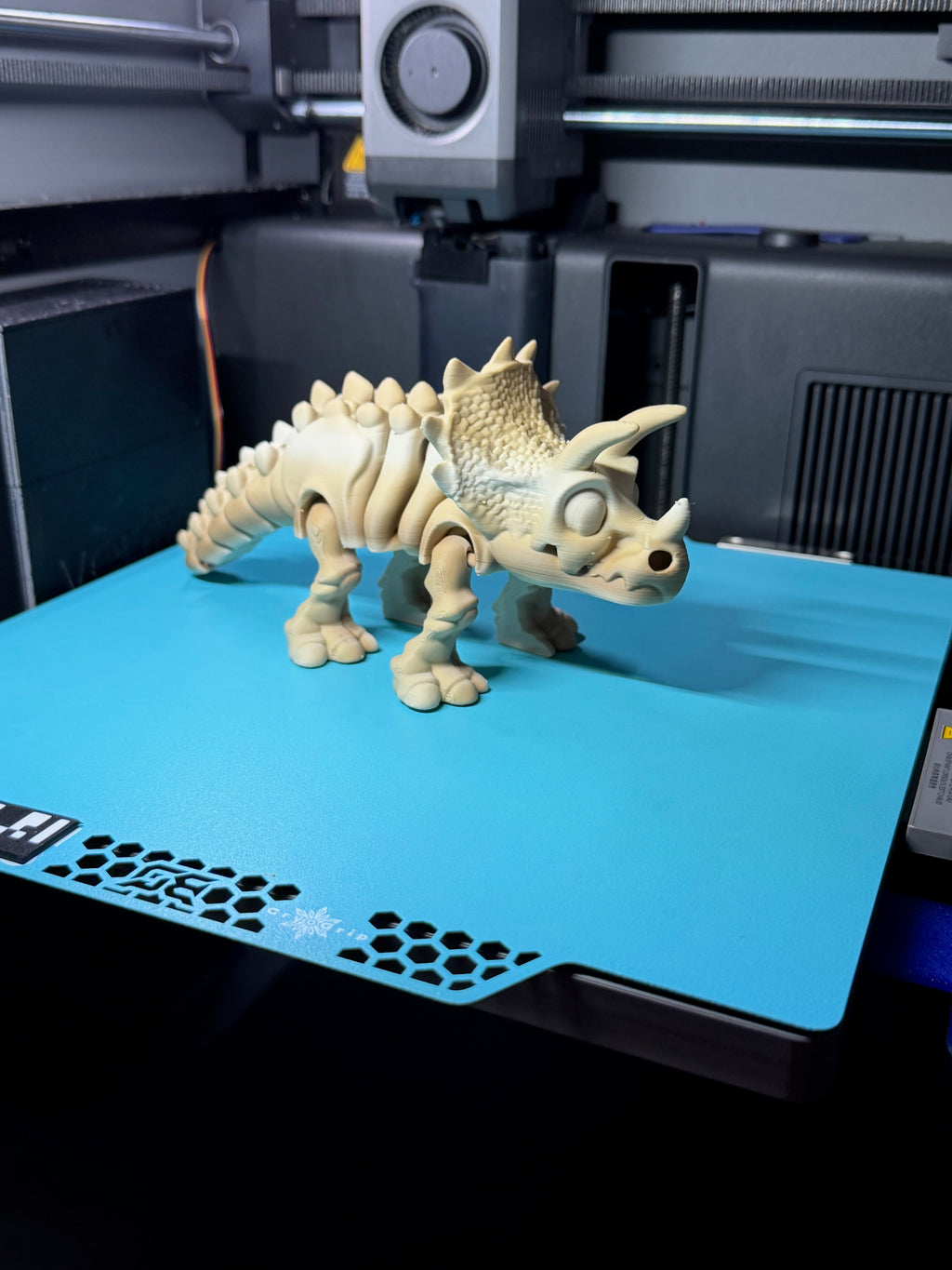 PW Triceratops
