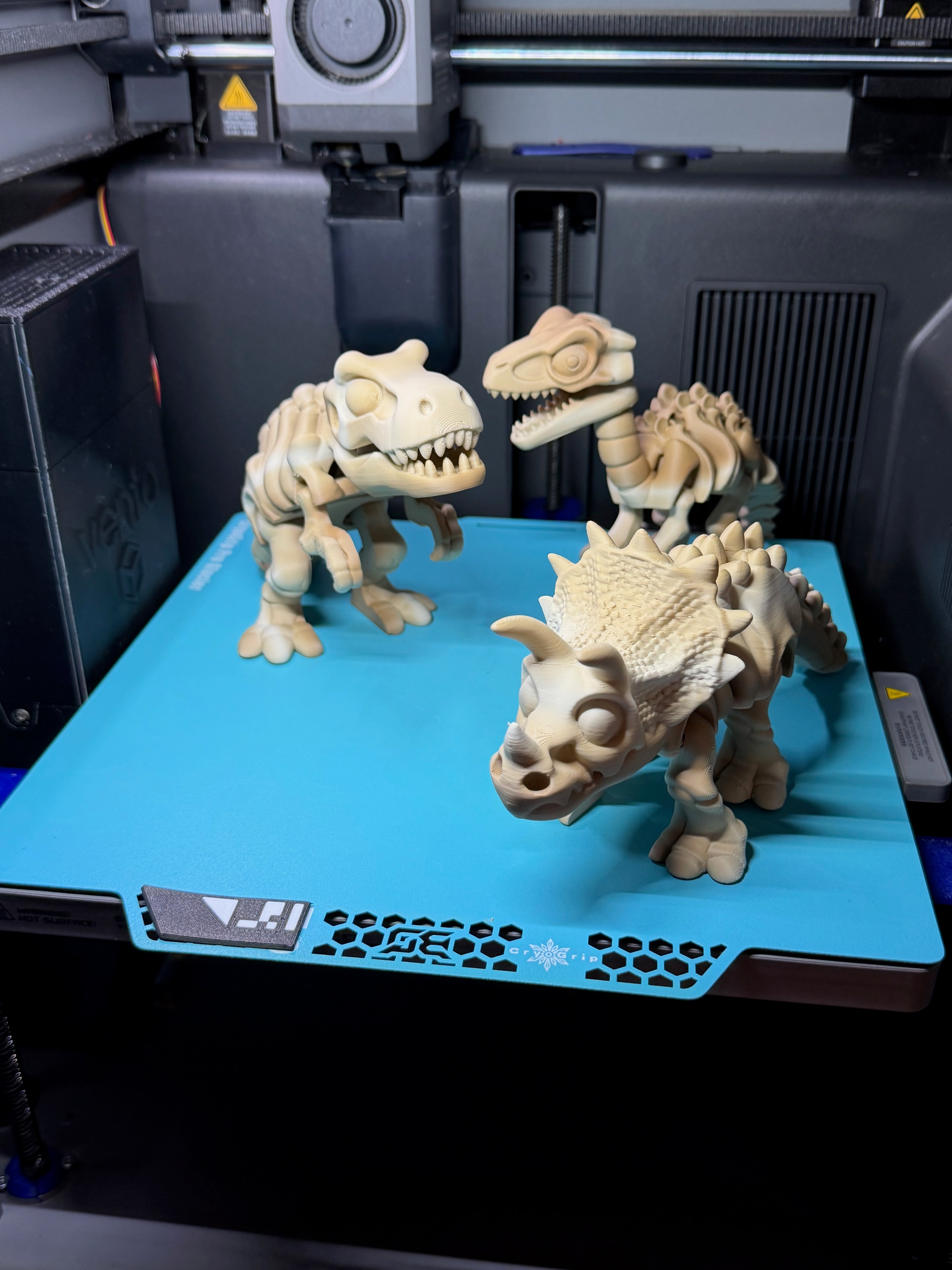 PW Triceratops